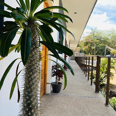 Hotel Samanu Sayulita Exteriér fotografie
