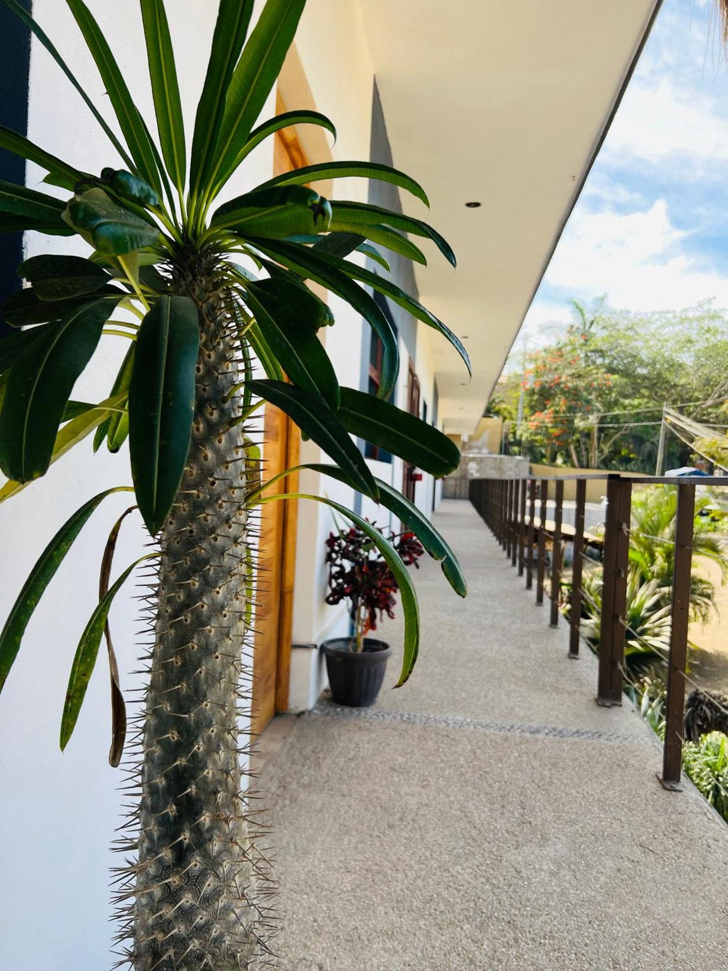 Hotel Samanu Sayulita Exteriér fotografie